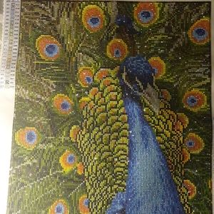 A peacock diamond art